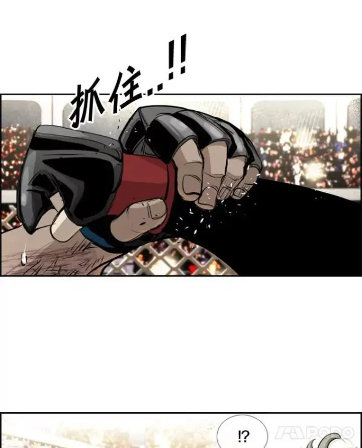 漫画《鲨鱼》175.大块头对战独眼龙（3）第74张图