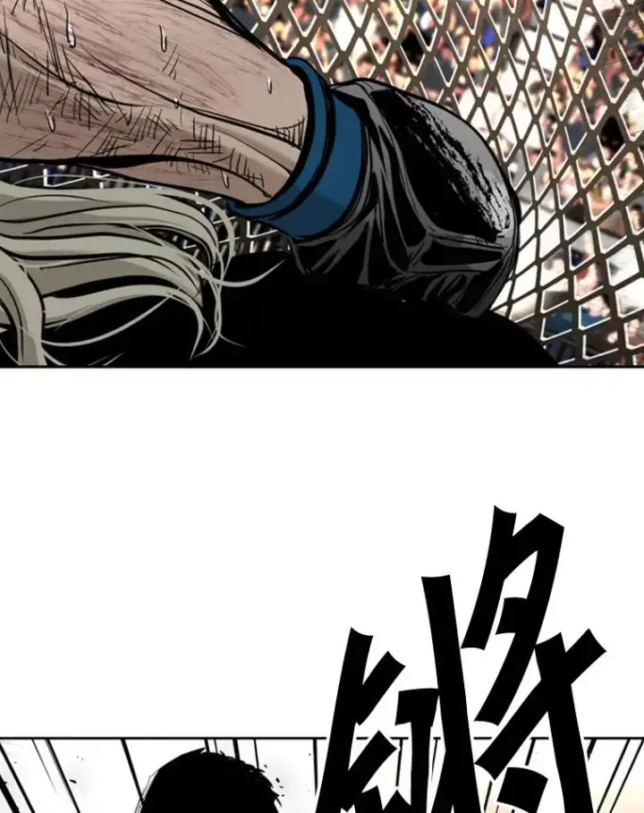 漫画《鲨鱼》177.胜利和失败第16张图