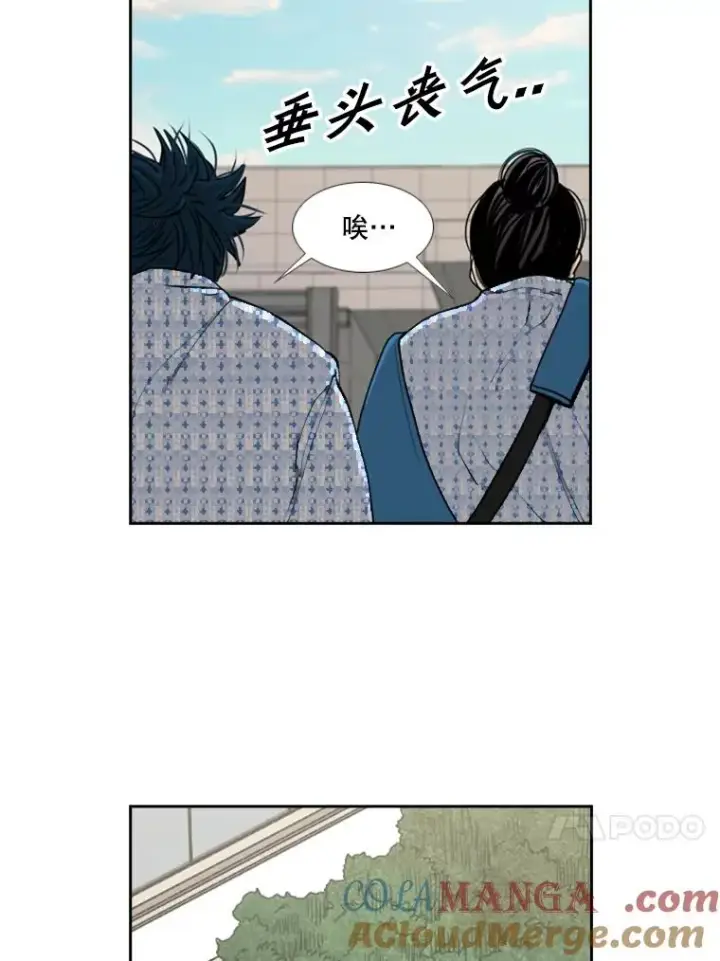 漫画《鲨鱼》181.安心养病中第45张图