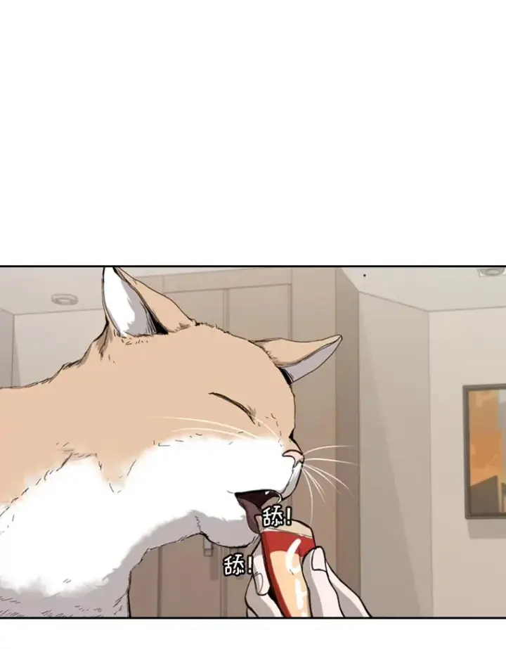 漫画《鲨鱼》185.出院第76张图