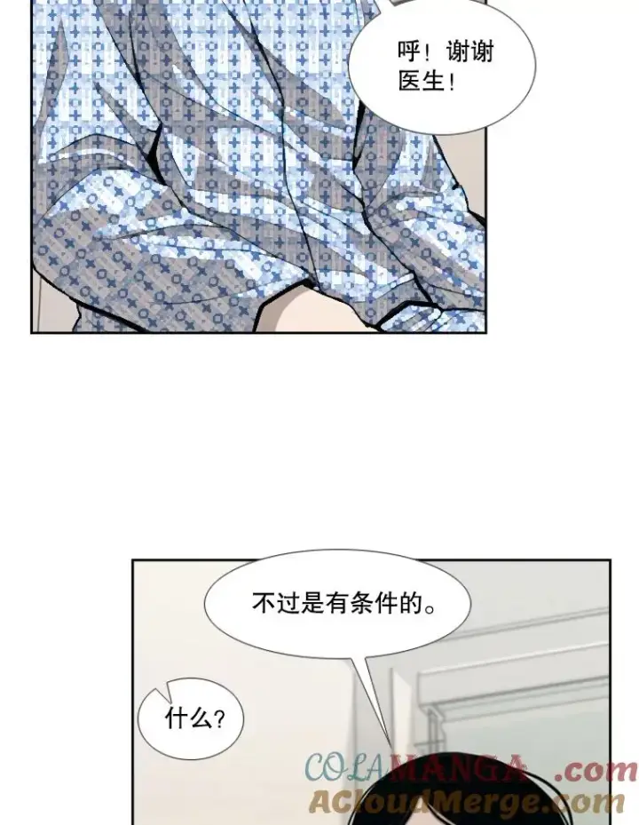 漫画《鲨鱼》185.出院第9张图