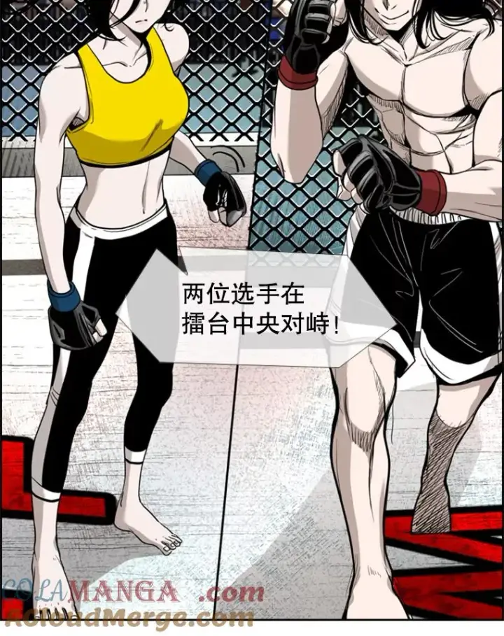 漫画《鲨鱼》187.女王马蜂对战柔术大师（1）第101张图