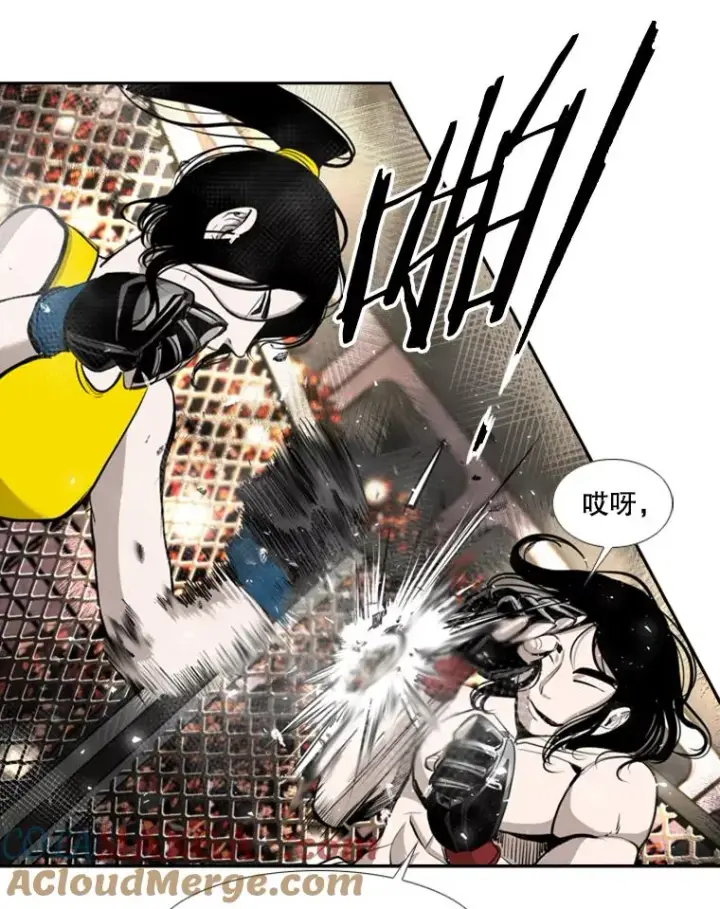 漫画《鲨鱼》188.女王马蜂对战柔术大师（2）第17张图