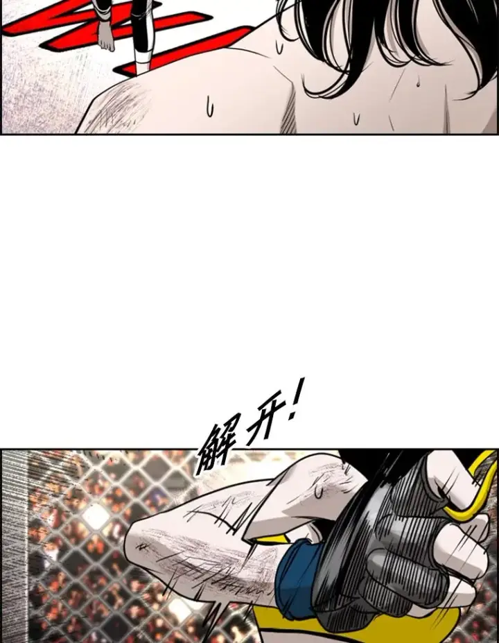 漫画《鲨鱼》188.女王马蜂对战柔术大师（2）第98张图