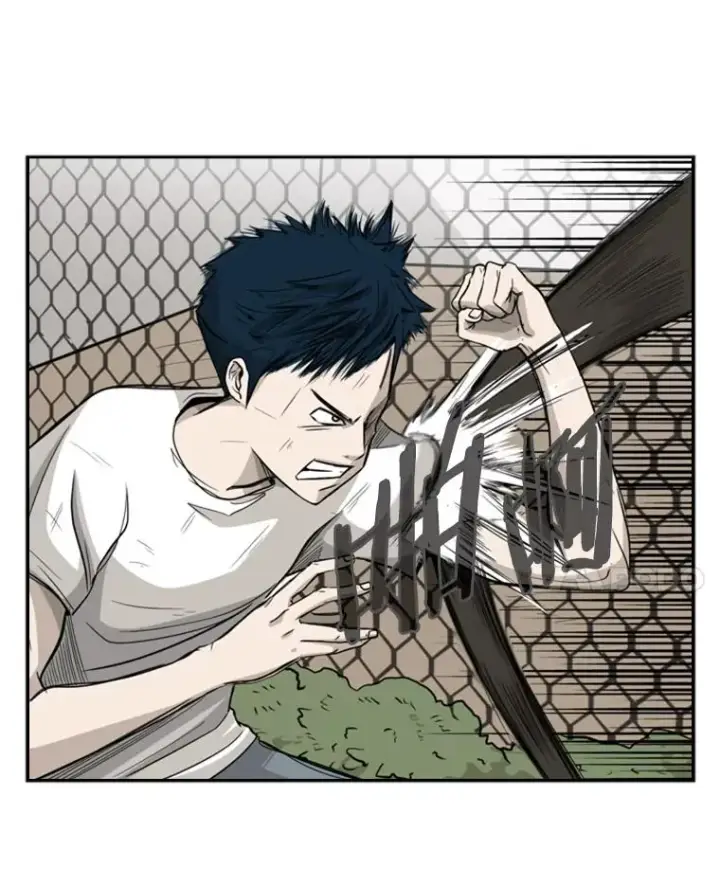 漫画《鲨鱼》18.发现第12张图