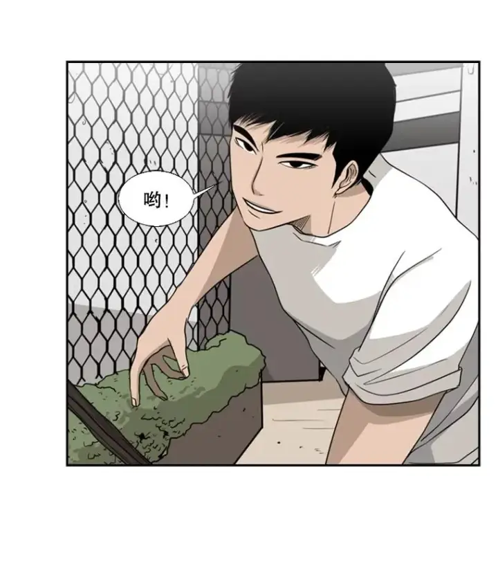 漫画《鲨鱼》18.发现第39张图