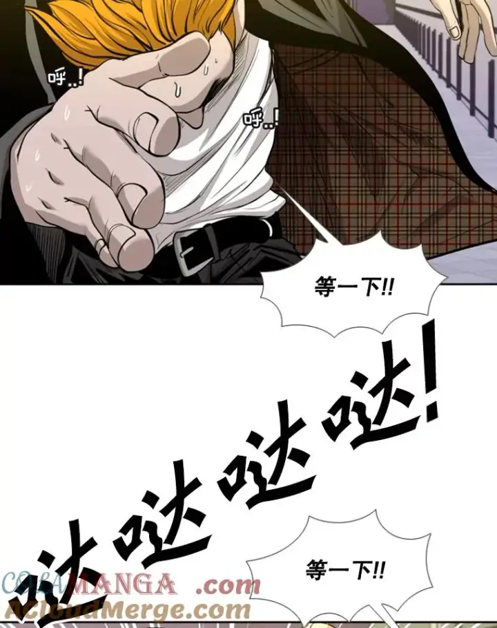 漫画《鲨鱼》191.弃赛第97张图