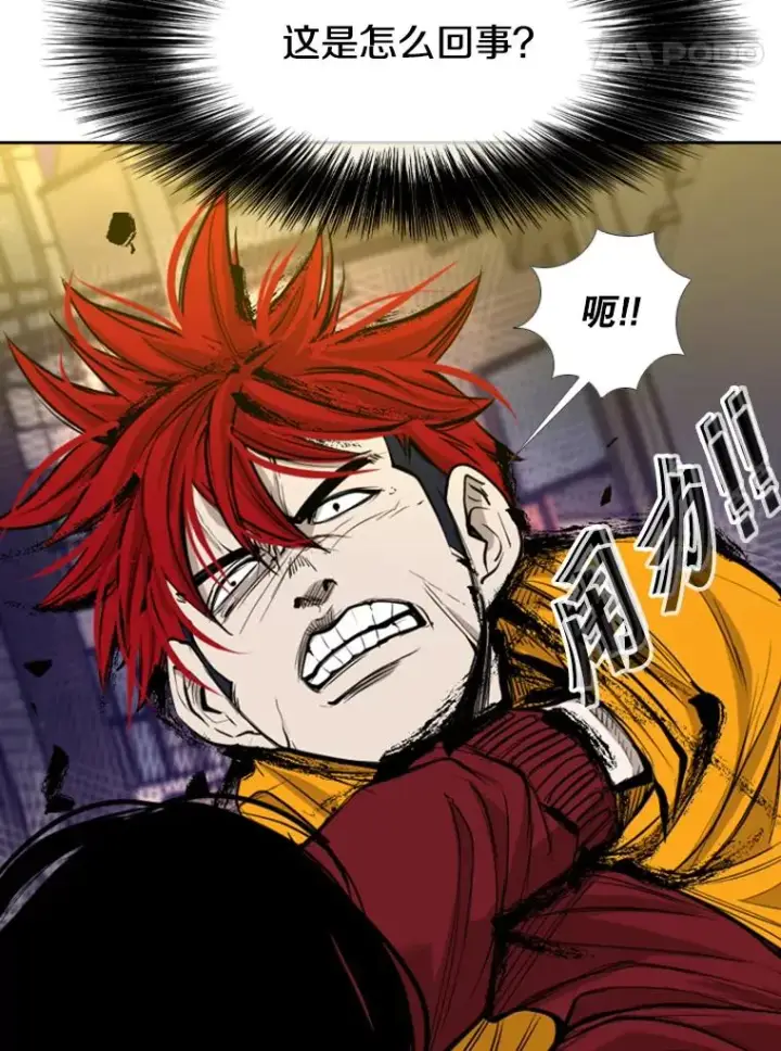 漫画《鲨鱼》193.我了解柔术了第71张图