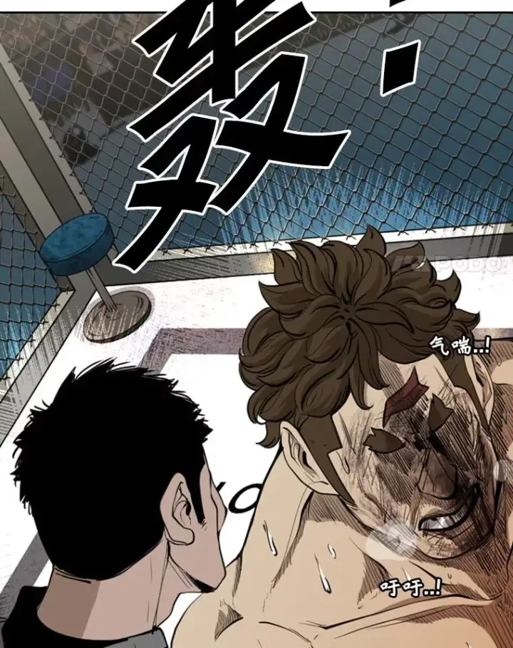 漫画《鲨鱼》197.真正的胜利第42张图