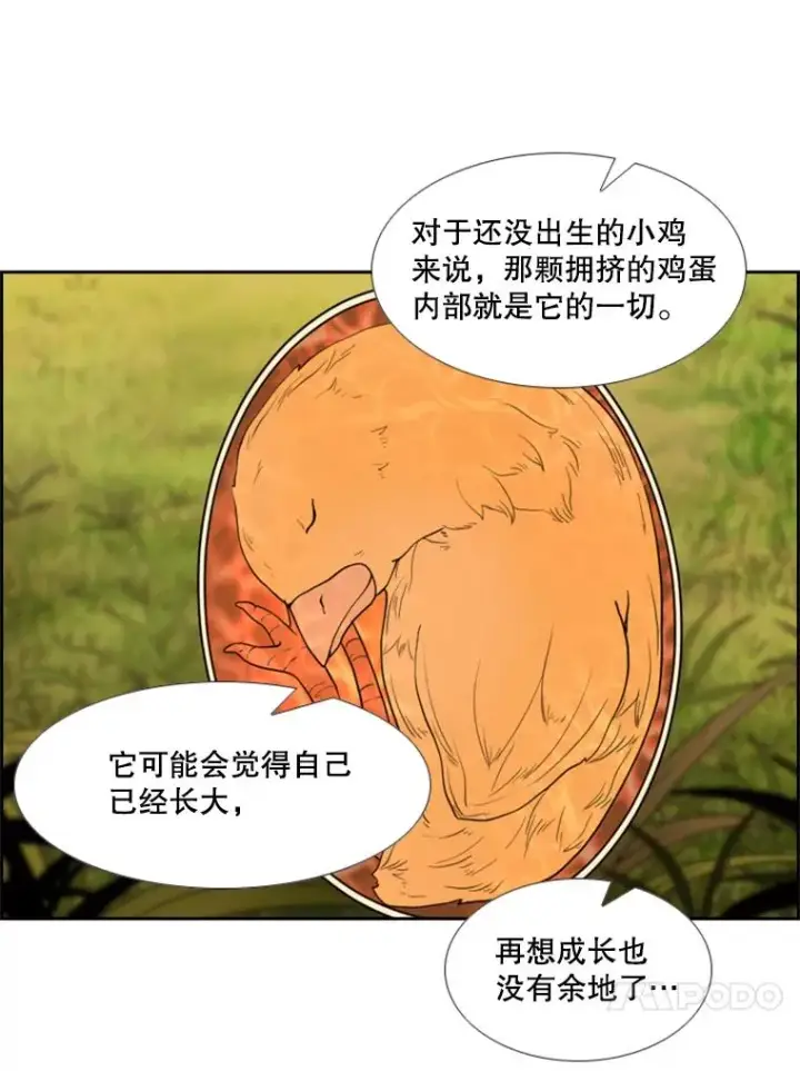 漫画《鲨鱼》200.恭喜你破壳而出第31张图