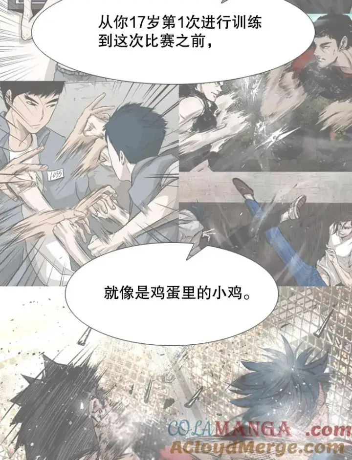 漫画《鲨鱼》200.恭喜你破壳而出第37张图