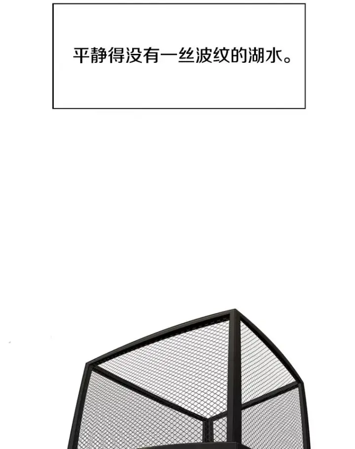 漫画《鲨鱼》202.莫名的熟悉感第36张图
