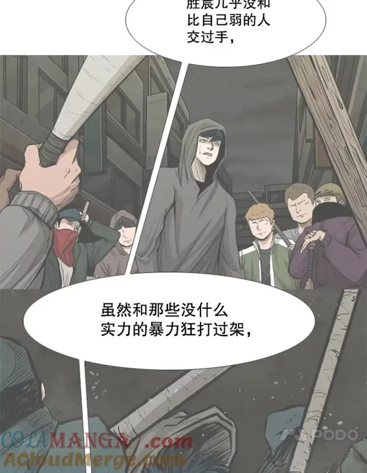 漫画《鲨鱼》204.决定性的转机第41张图
