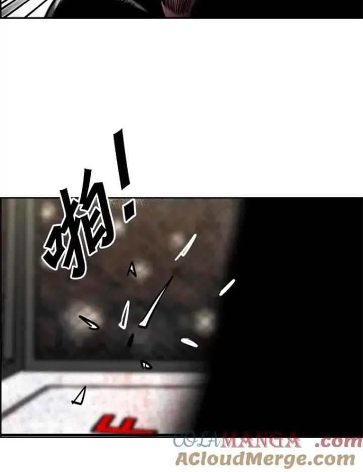 漫画《鲨鱼》209.虎狼相争（2）第53张图
