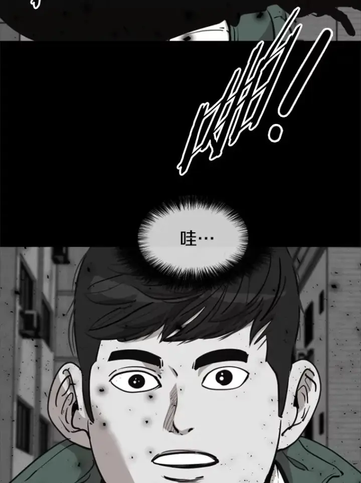 漫画《鲨鱼》210.虎狼相争（3）第48张图
