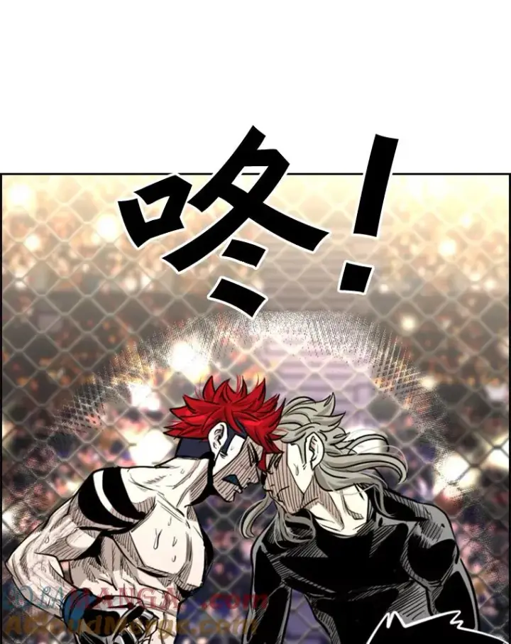 漫画《鲨鱼》211.这只是前哨战第117张图