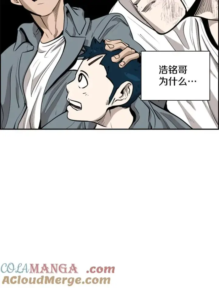 漫画《鲨鱼》211.这只是前哨战第65张图
