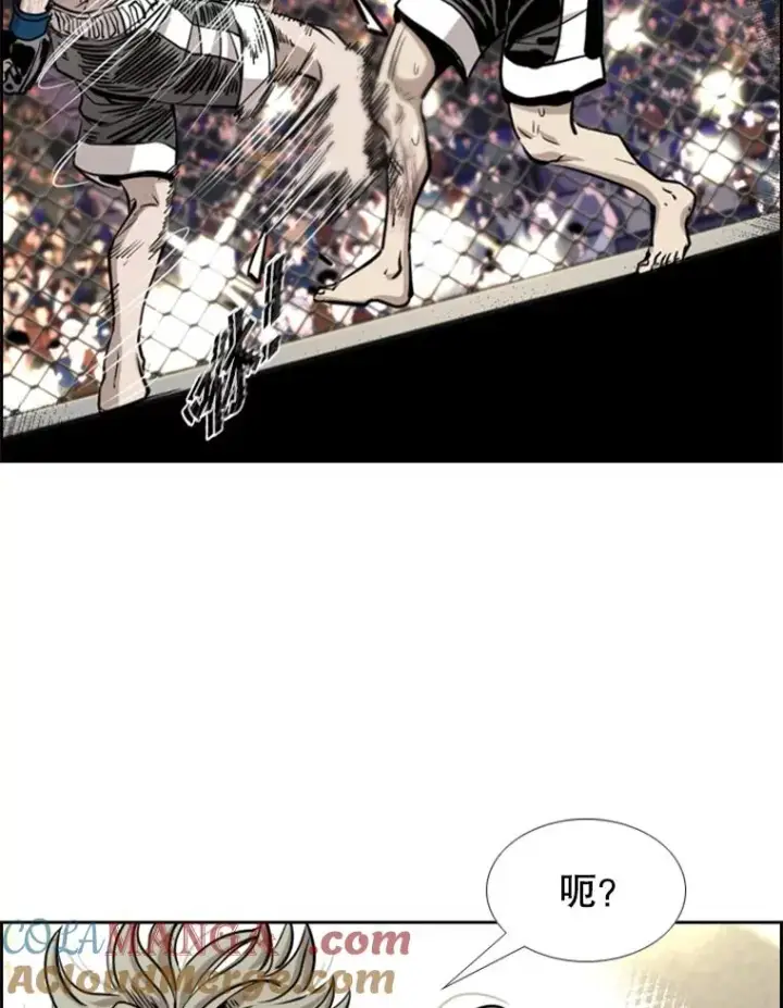漫画《鲨鱼》213.回礼第33张图