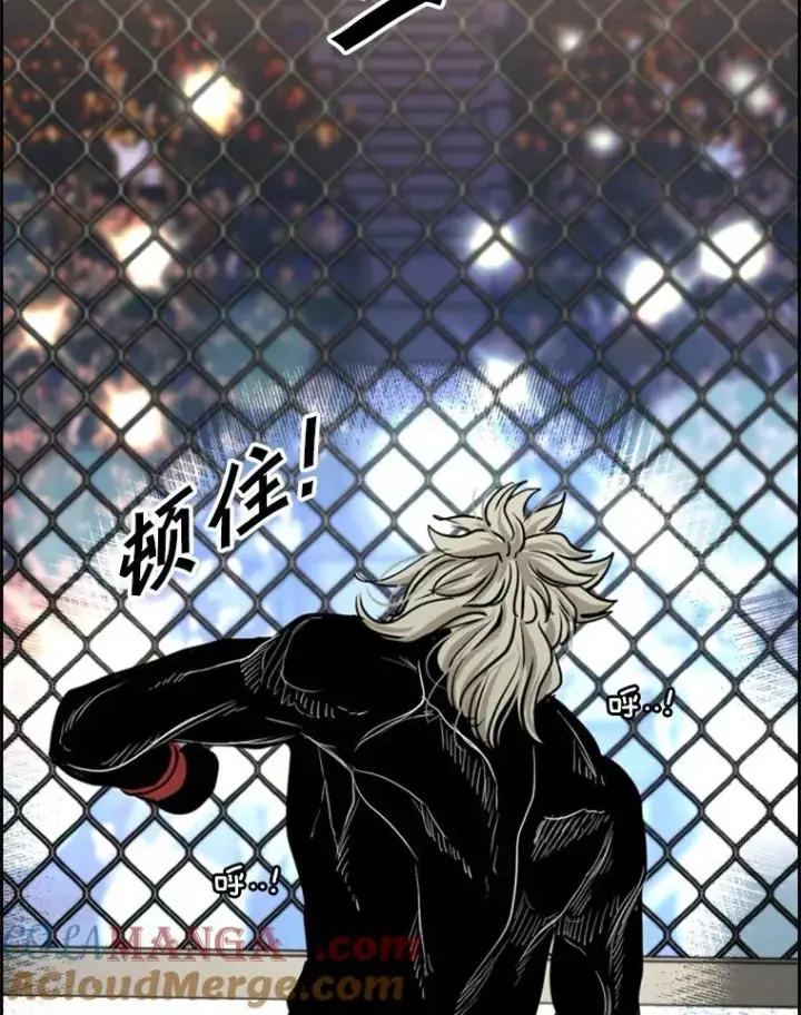 漫画《鲨鱼》214.我在害怕第53张图