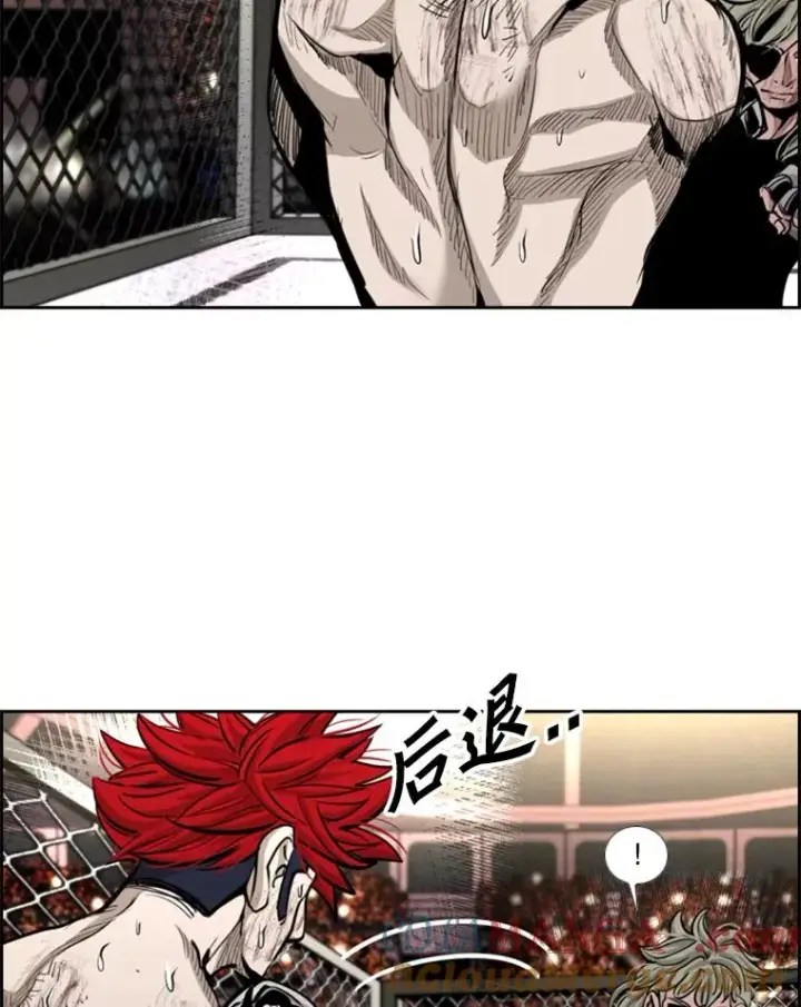 漫画《鲨鱼》215.我是郑浩铭的徒弟第13张图