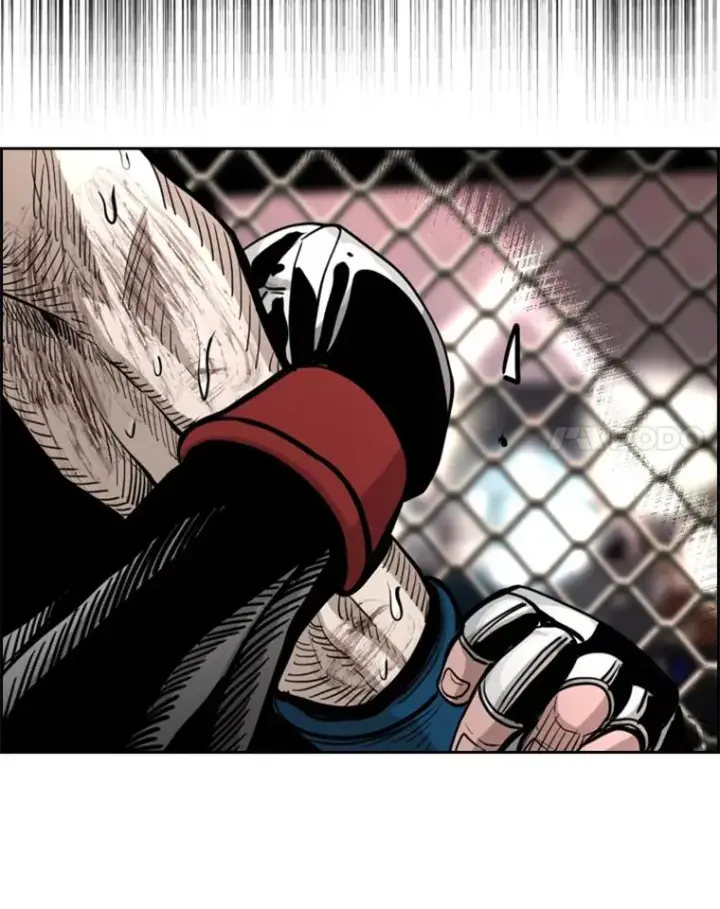 漫画《鲨鱼》215.我是郑浩铭的徒弟第79张图