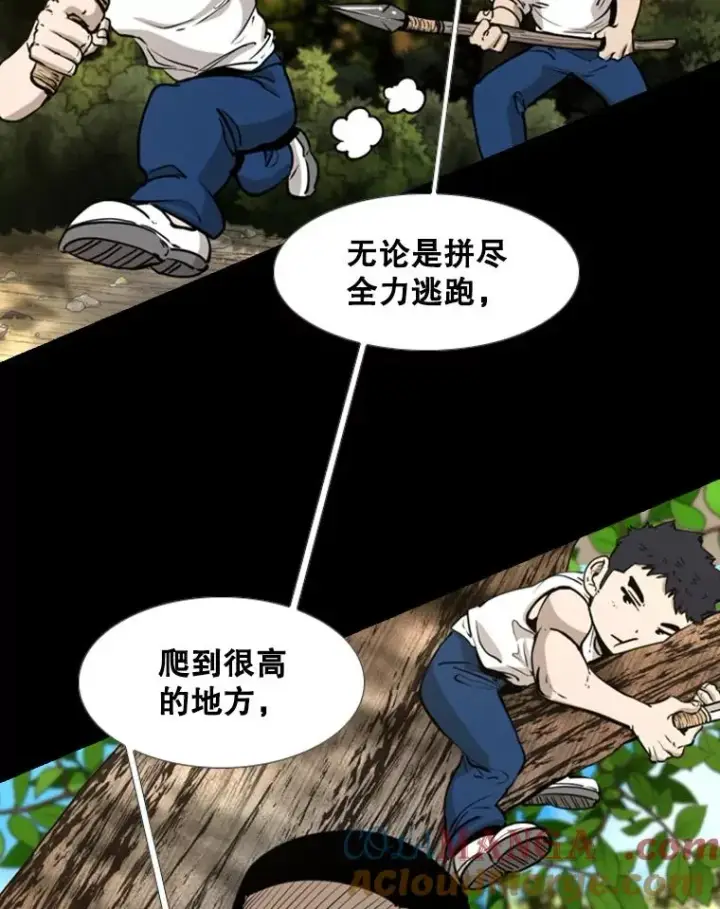 漫画《鲨鱼》221.短剑和长矛第53张图