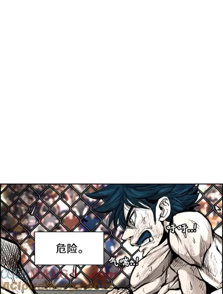 漫画《鲨鱼》223.两条鲨鱼第17张图