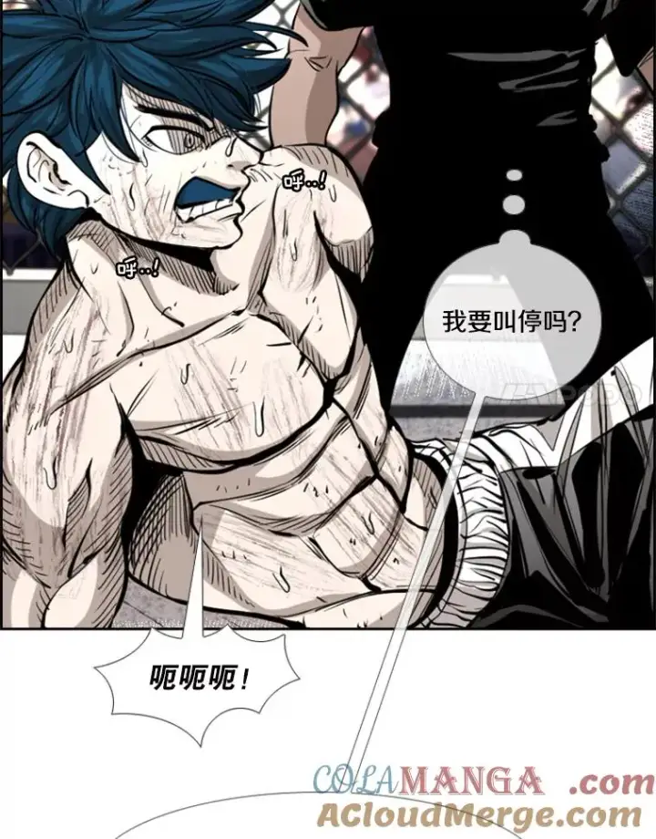 漫画《鲨鱼》223.两条鲨鱼第61张图