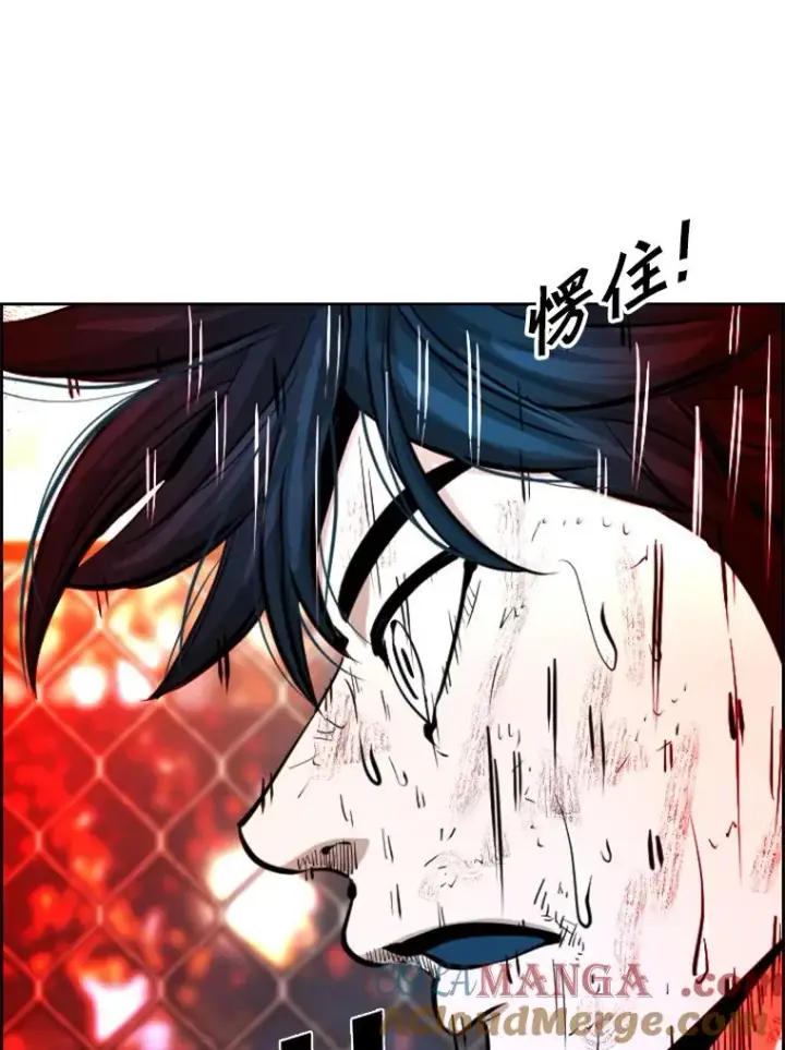 漫画《鲨鱼》223.两条鲨鱼第85张图