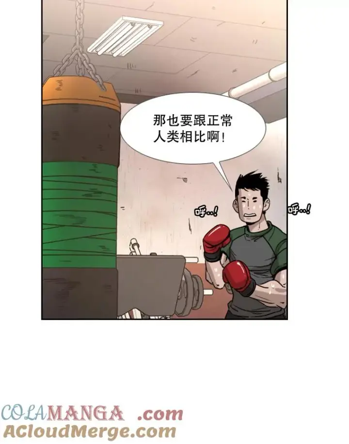 漫画《鲨鱼》226.恭喜你，冠军！第137张图