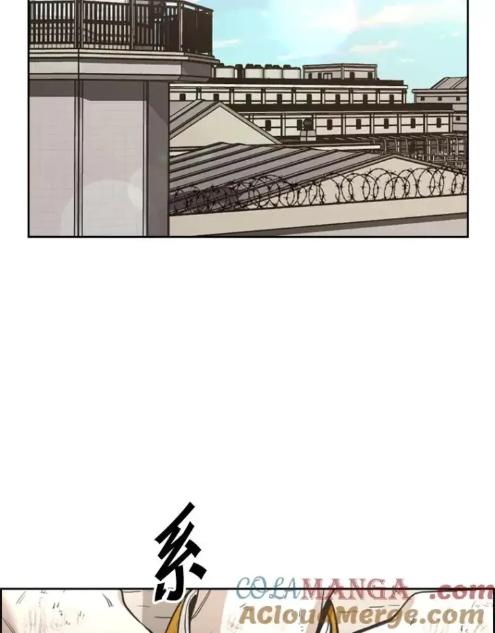 漫画《鲨鱼》226.恭喜你，冠军！第65张图