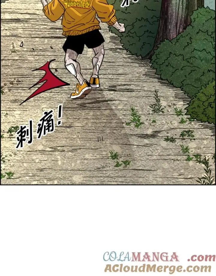 漫画《鲨鱼》226.恭喜你，冠军！第73张图