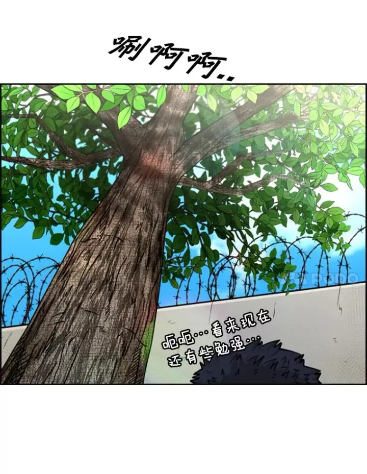 漫画《鲨鱼》226.恭喜你，冠军！第74张图