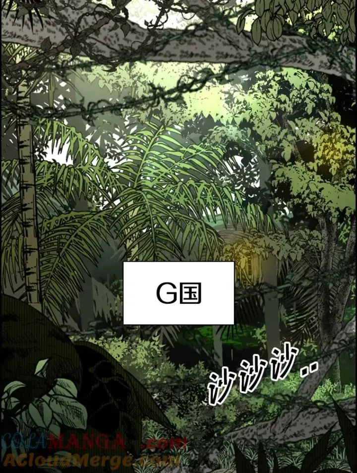 漫画《鲨鱼》227.三大挑战者（上）第89张图