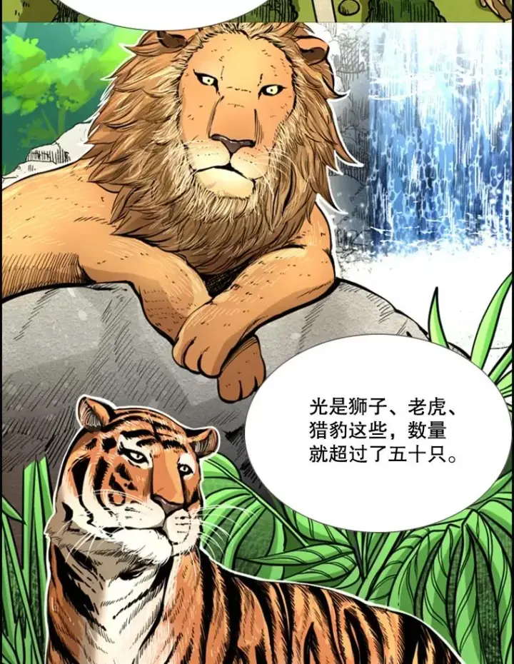 漫画《鲨鱼》228.三大挑战者（下）第20张图