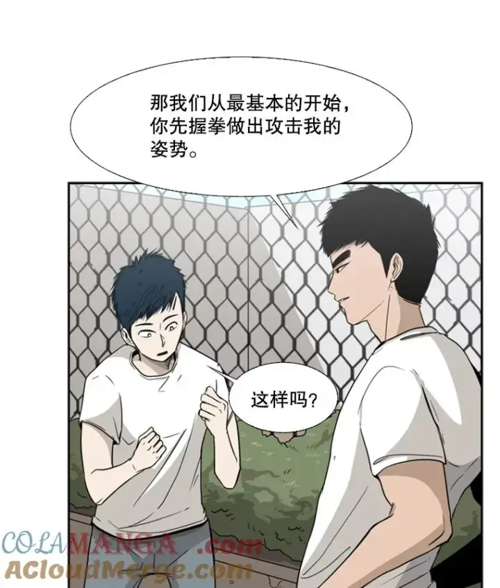 漫画《鲨鱼》22.回忆第13张图