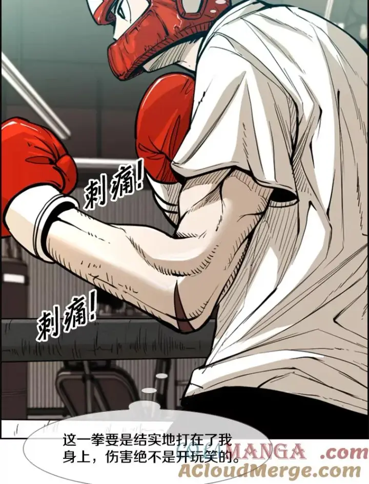 漫画《鲨鱼》231.切磋赛第33张图