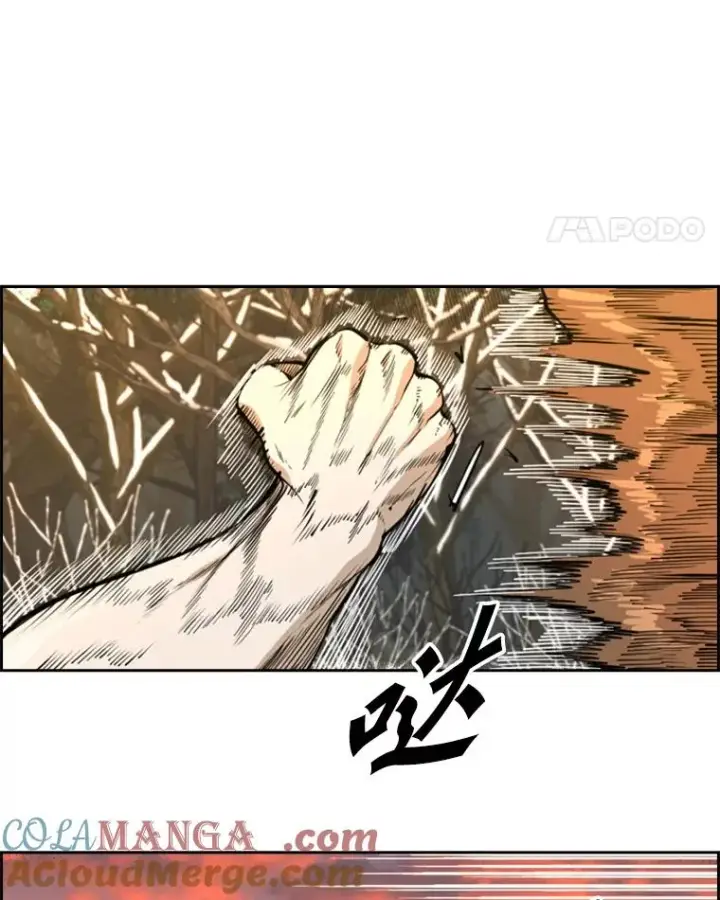 漫画《鲨鱼》238.郑昌杰的变化第49张图