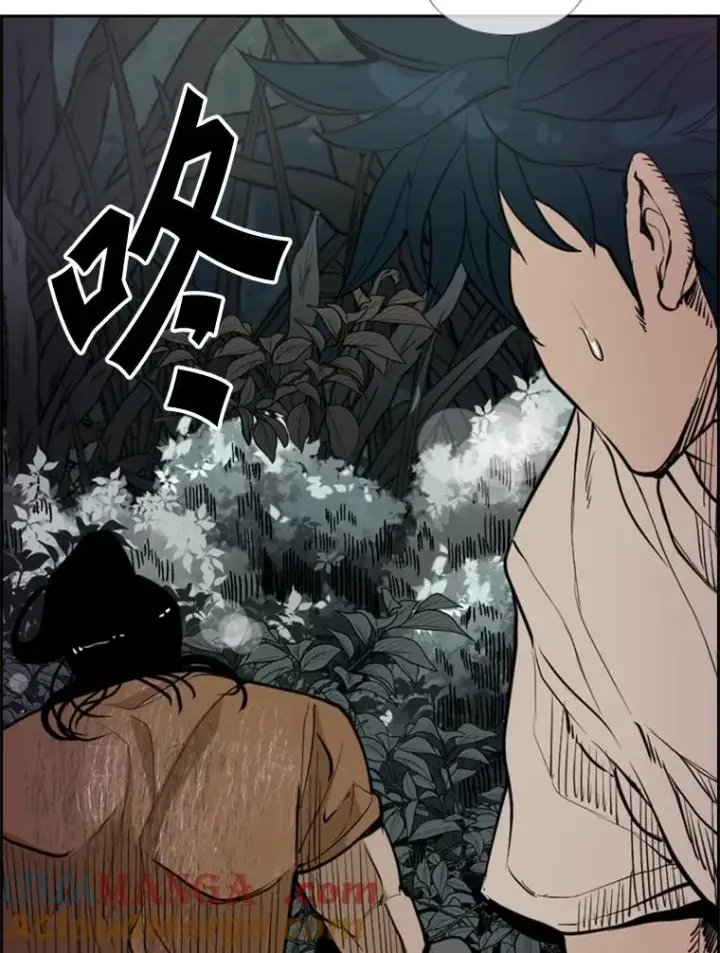漫画《鲨鱼》240.林中作战第109张图