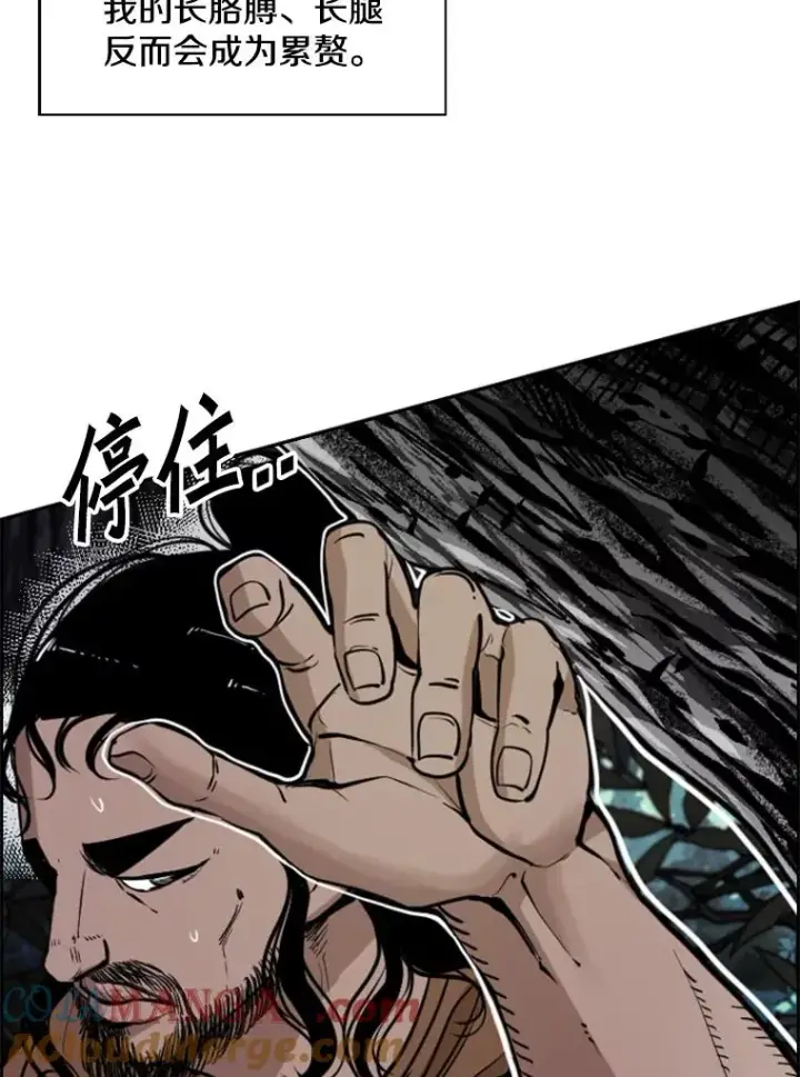 漫画《鲨鱼》240.林中作战第49张图