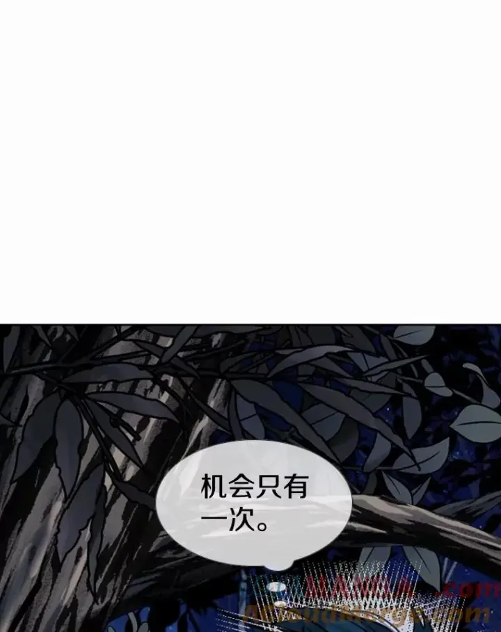 漫画《鲨鱼》240.林中作战第77张图