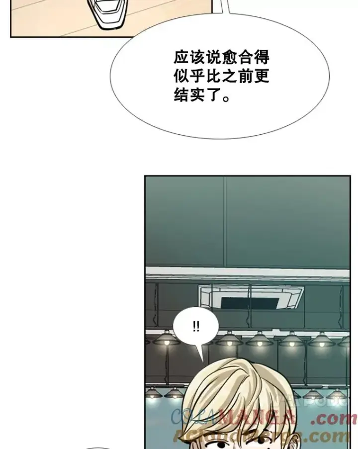 漫画《鲨鱼》242.重回擂台的决心第93张图