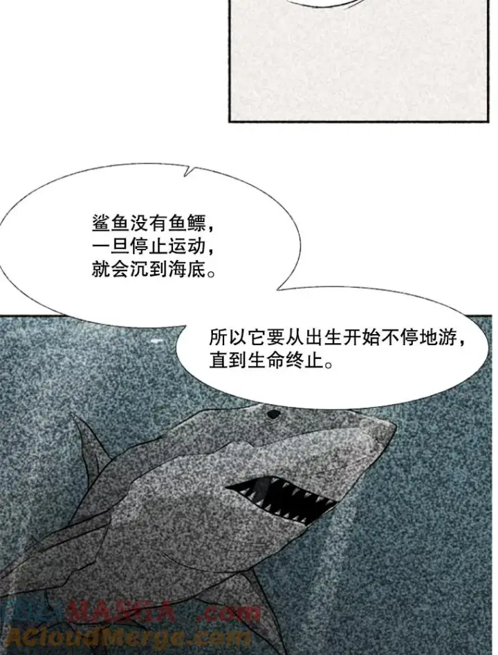 漫画《鲨鱼》244.职业赛首秀第73张图
