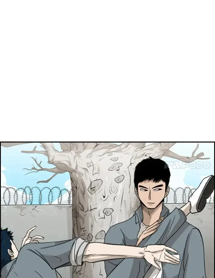 漫画《鲨鱼》28.确定第100张图