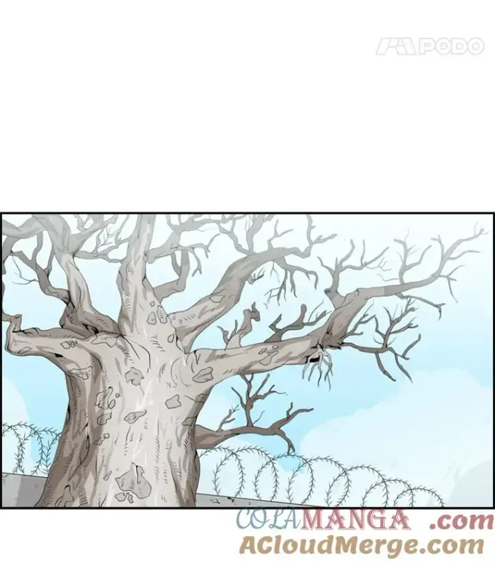 漫画《鲨鱼》28.确定第73张图