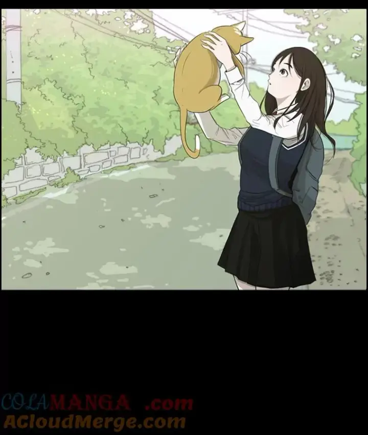 漫画《鲨鱼》2.噩梦的开始第17张图