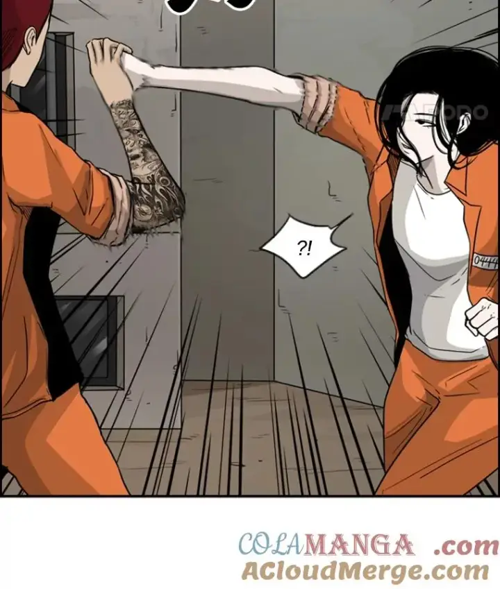 漫画《鲨鱼》35.第一次实战第85张图