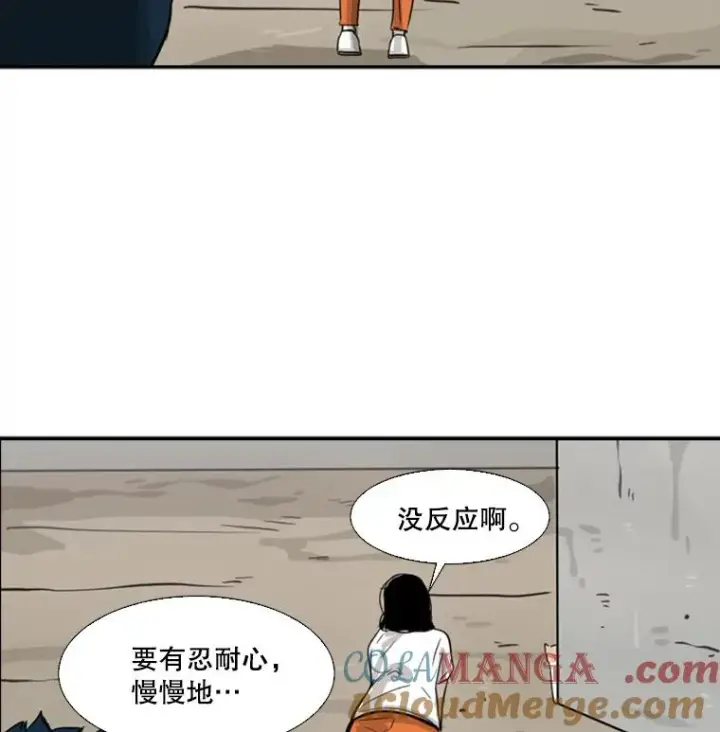 漫画《鲨鱼》47.接近第101张图