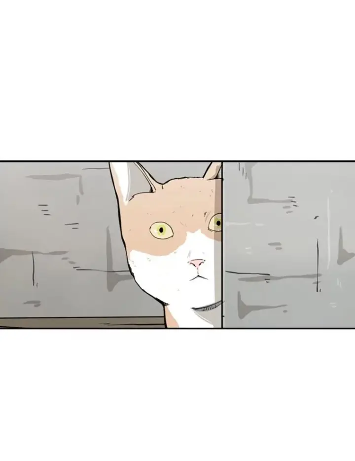 漫画《鲨鱼》47.接近第104张图