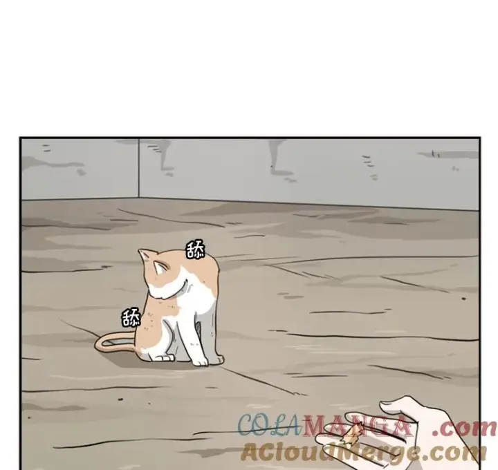 漫画《鲨鱼》47.接近第77张图